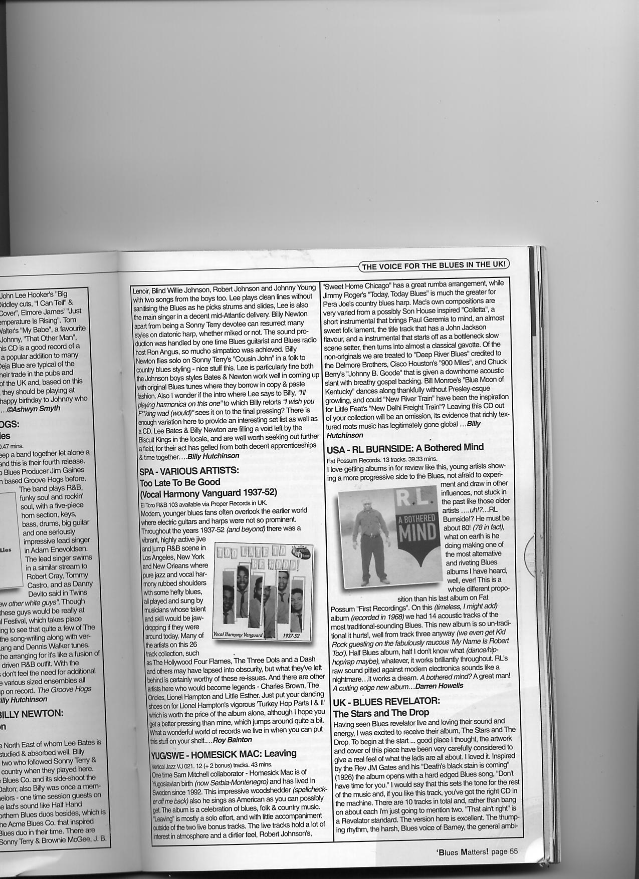 Blues Matters UK review scan